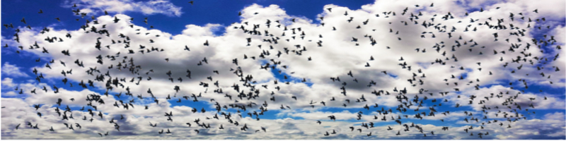 【妊活】プレメント採精シート【シリンジ法】情報サイト